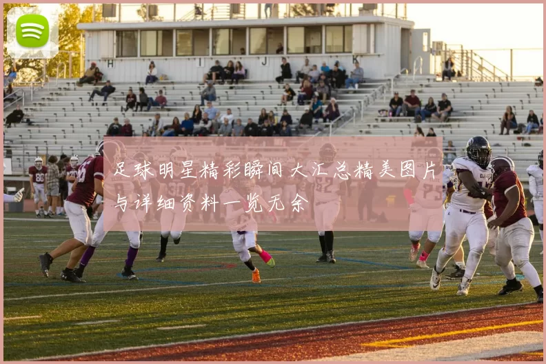 足球明星精彩瞬间大汇总精美图片与详细资料一览无余